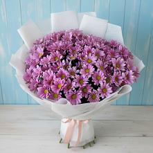 Букет цветов из:  Хризантемы в Уват