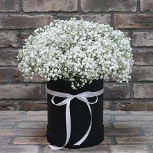 Цветочная композиция из Гипсофила в шляпной коробке #REPLACE_PRED# Уват
